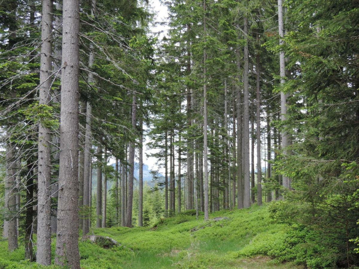 Urlaub Am Bauernhof Grabenhofer Villa Sankt Jakob im Walde Luaran gambar