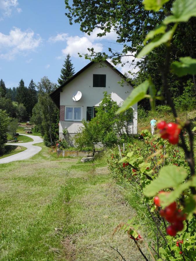 Urlaub Am Bauernhof Grabenhofer Villa Sankt Jakob im Walde Luaran gambar